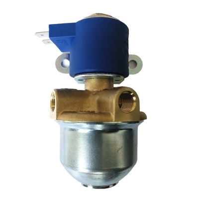 L la Manche LPG Autogas de forme filtrent le filtre à combustible gazeux naturel de CNG avec la vanne électromagnétique