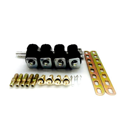 Rail d'injecteur de LN-LIG1 LPG CNG pour le cylindre 4 injecteurs de rail du noir GPL GNV de 2 ohms ou de 3 ohms