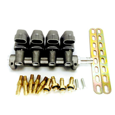 Rail d'injecteur de LPG CNG de gris de cylindre de la haute performance 4 pour le système d'injection de gaz combustible