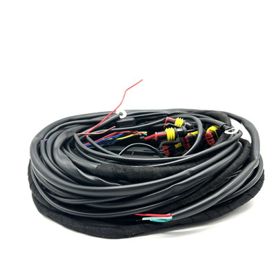 56 câblage multipoint de connexion d'injection de carburant du harnais CNG LPG de fil de Pin ECU