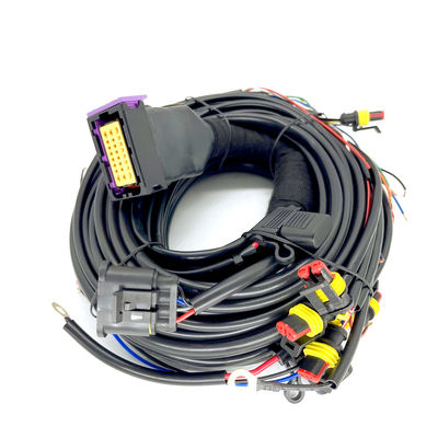 acheter Cylindre séquentiel ECU de Pin Car Wiring Harness For 4 de l'injection 24 de CNG LPG online manufacture