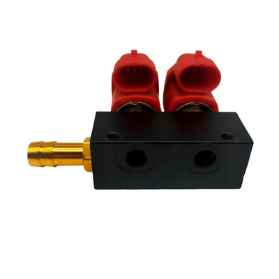 Rail d'injecteur de cylindre de LLANO LN-VTK02 2 pour l'installation carburant de voiture de GPL GNV