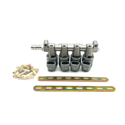 Système d'injection de carburant de LPG CNG 2 ohms ou 3 ohms Grey Injector Rail pour Autogas