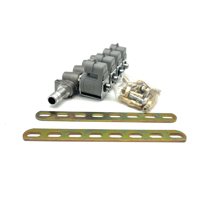 Système d'injection de carburant de LPG CNG 2 ohms ou 3 ohms Grey Injector Rail pour Autogas