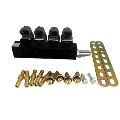 2 ohms 3 rail noir d'injecteur de la résistance LN-LIG1S LPG CNG d'ohm pour Autogas