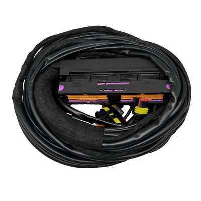 Type de connecteur multiple pour des performances optimales de 12 V