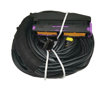 OEM accepté ISO9001 câble automobile étanche pour 56 broches ECU