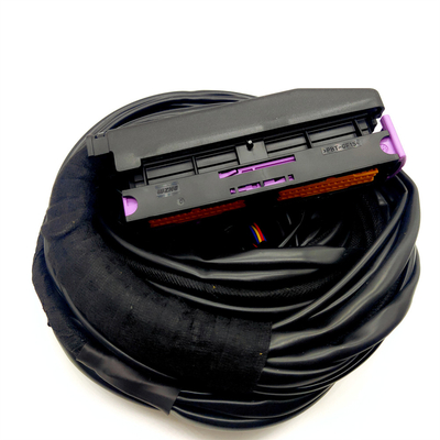 OEM accepté ISO9001 câble automobile étanche pour 56 broches ECU