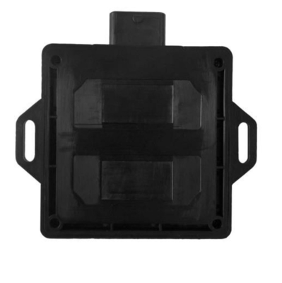 Boîtier de commande électronique fait sur commande de CNG LPG dans la voiture avec 48 Pin Connector