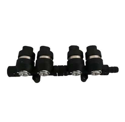 4 rail assemblé d'injecteur de LPG CNG de noir de cylindre 2Ohm/3Ohm