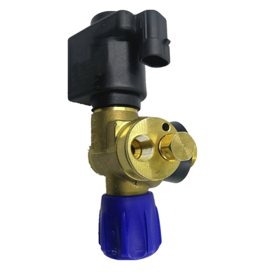 Clapet à gaz de voiture de valve de cylindre du solénoïde CNG DC12V pour l'installation de combustible gazeux automatique