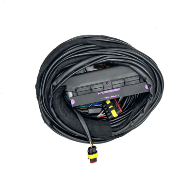 4 câblage automatique multipoint de Pin CNG LPG du harnais 56 d'injection de carburant d'ECU de cylindre