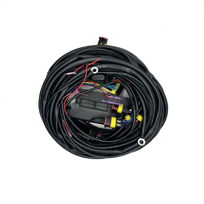 4 câblage automatique multipoint de Pin CNG LPG du harnais 56 d'injection de carburant d'ECU de cylindre