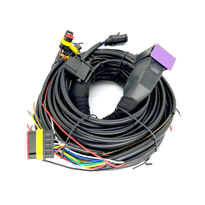 Cylindre séquentiel ECU de Pin Car Wiring Harness For 4 de l'injection 24 de CNG LPG