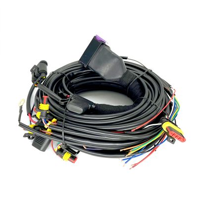Cylindre séquentiel ECU de Pin Car Wiring Harness For 4 de l'injection 24 de CNG LPG