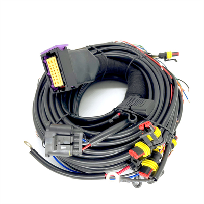 Cylindre séquentiel ECU de Pin Car Wiring Harness For 4 de l'injection 24 de CNG LPG