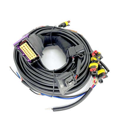 Cylindre séquentiel ECU de Pin Car Wiring Harness For 4 de l'injection 24 de CNG LPG