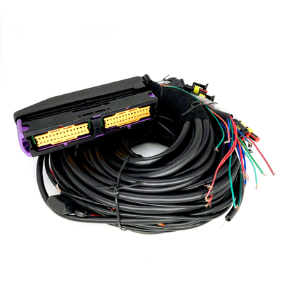 Cylindre des véhicules à moteur multipoint ECU de Pin For 6 du câblage 56 de CNG LPG