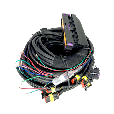 Cylindre des véhicules à moteur multipoint ECU de Pin For 6 du câblage 56 de CNG LPG