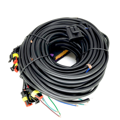 Cylindre des véhicules à moteur multipoint ECU de Pin For 6 du câblage 56 de CNG LPG