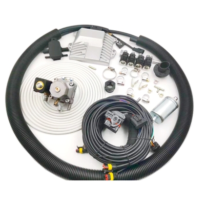 Mini kits de conversion de CNG LPG pour le moteur de voiture d'injection directe d'essence de 4 cylindres