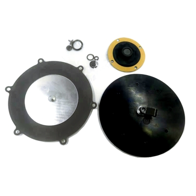 Kits de réparation en plastique de régulateur d'Autogas LPG sans couverture et filtre